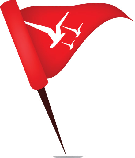 Image of Race FlagARC